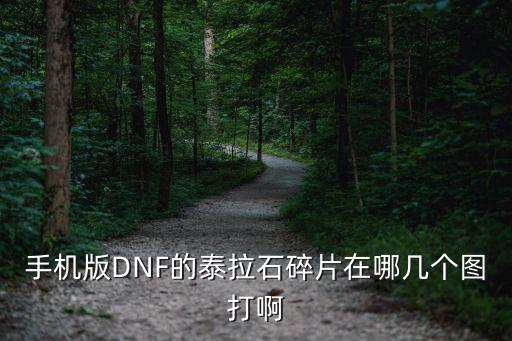 手机版DNF的泰拉石碎片在哪几个图打啊