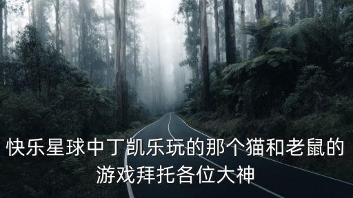 快乐星球中丁凯乐玩的那个猫和老鼠的游戏拜托各位大神