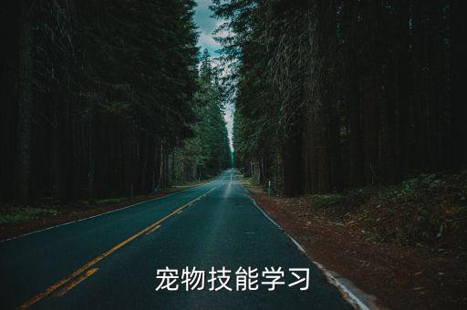 宠物技能学习