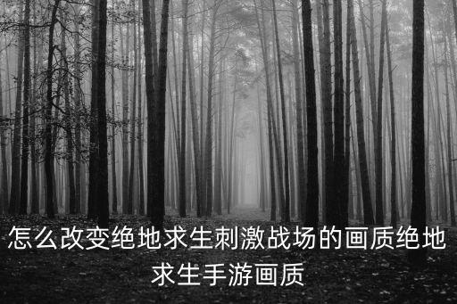 怎么改变绝地求生刺激战场的画质绝地求生手游画质