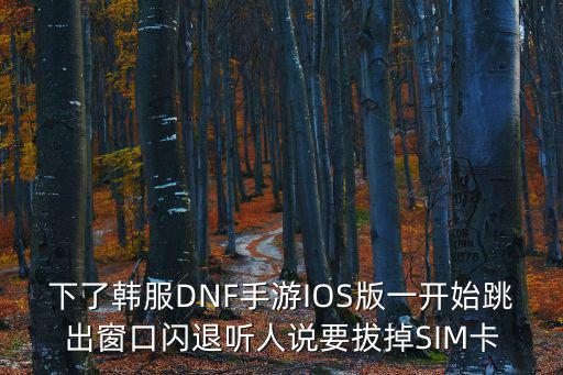 下了韩服DNF手游IOS版一开始跳出窗口闪退听人说要拔掉SIM卡