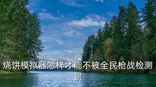 烧饼模拟器怎样才能不被全民枪战检测到