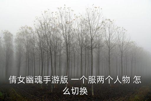 倩女幽魂手游桌面版怎么切换敌方，倩女幽魂手游版 一个服两个人物 怎么切换