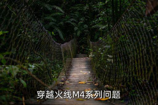 穿越火线M4系列问题