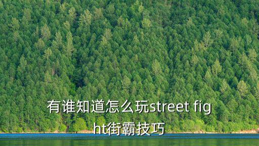 有谁知道怎么玩street fight街霸技巧