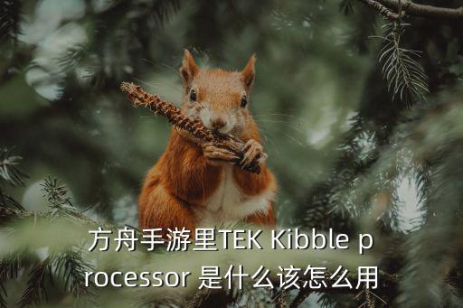 方舟手游里TEK Kibble processor 是什么该怎么用