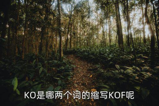 KO是哪两个词的缩写KOF呢