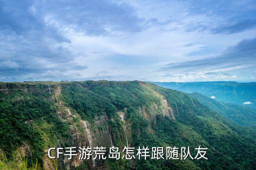 CF手游荒岛怎样跟随队友