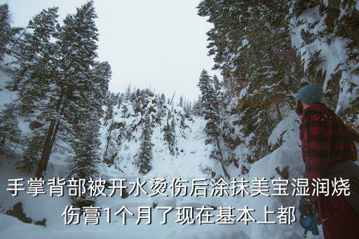 手掌背部被开水烫伤后涂抹美宝湿润烧伤膏1个月了现在基本上都