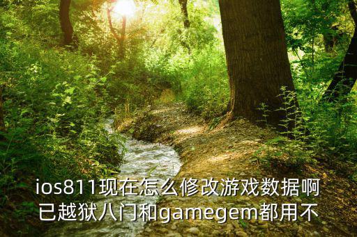 ios811现在怎么修改游戏数据啊已越狱八门和gamegem都用不