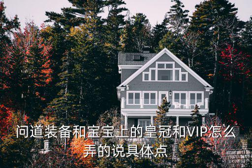 问道装备和宝宝上的皇冠和VIP怎么弄的说具体点