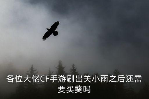 各位大佬CF手游刷出关小雨之后还需要买葵吗