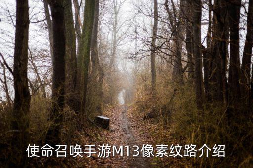 使命召唤手游M13像素纹路介绍