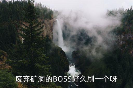 废弃矿洞的BOSS好久刷一个呀