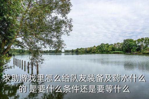 求助游戏里怎么给队友装备及药水什么的 是要什么条件还是要等什么