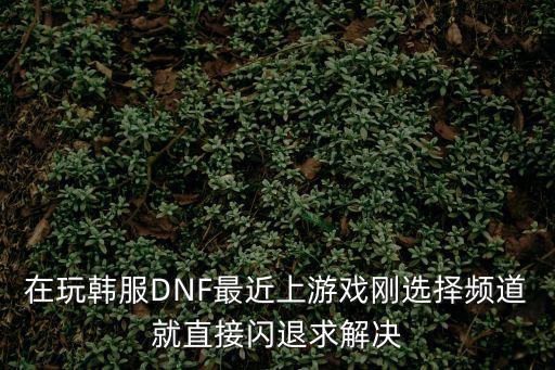 在玩韩服DNF最近上游戏刚选择频道就直接闪退求解决