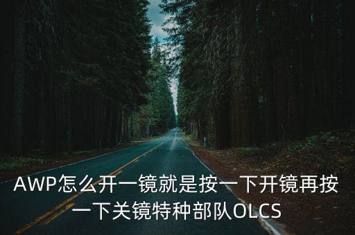 AWP怎么开一镜就是按一下开镜再按一下关镜特种部队OLCS