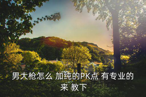 男大枪怎么 加纯的PK点 有专业的 来 教下