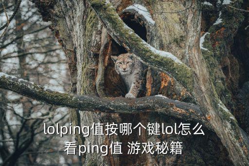 lolping值按哪个键lol怎么看ping值 游戏秘籍