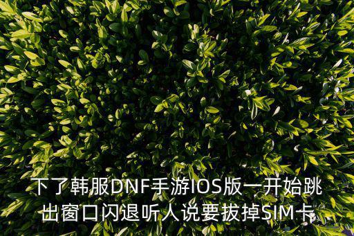 下了韩服DNF手游IOS版一开始跳出窗口闪退听人说要拔掉SIM卡