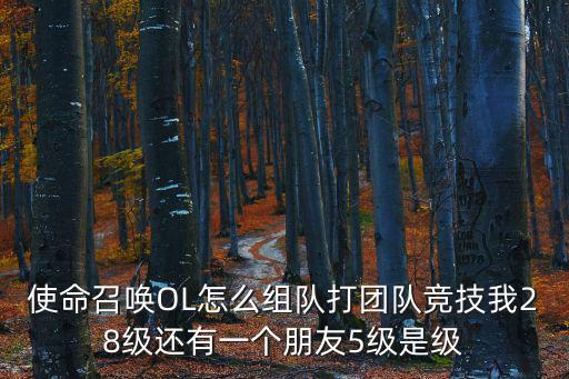 使命召唤OL怎么组队打团队竞技我28级还有一个朋友5级是级