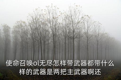 使命召唤ol无尽怎样带武器都带什么样的武器是两把主武器啊还