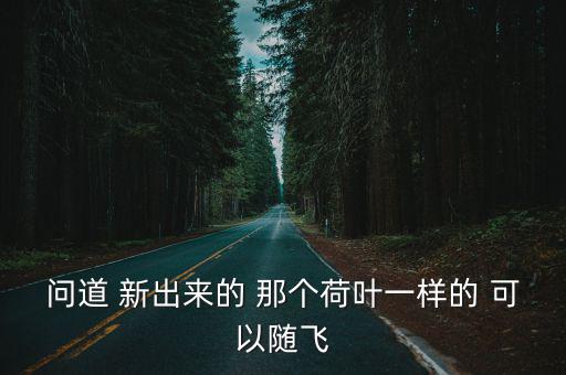 问道 新出来的 那个荷叶一样的 可以随飞