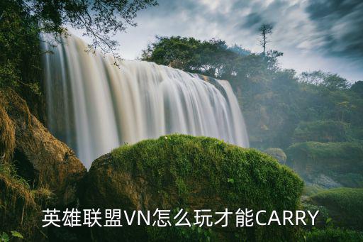 英雄联盟VN怎么玩才能CARRY