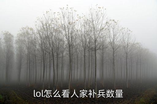 lol怎么看人家补兵数量