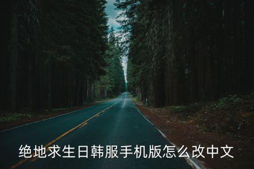 绝地求生日韩服手机版怎么改中文