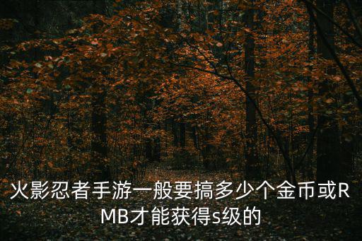 火影忍者手游一般要搞多少个金币或RMB才能获得s级的