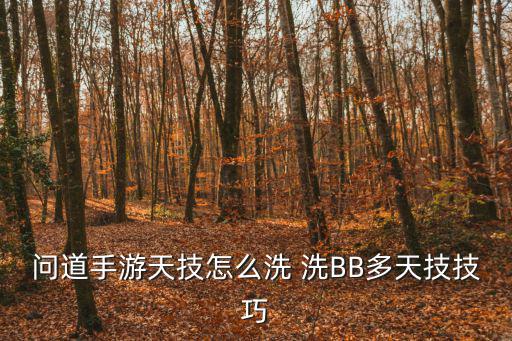 问道手游天技怎么洗 洗BB多天技技巧