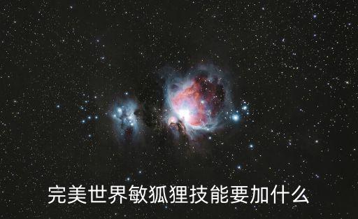 完美世界敏狐狸技能要加什么