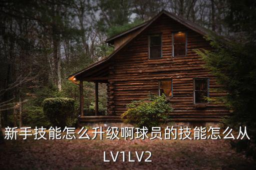 新手技能怎么升级啊球员的技能怎么从LV1LV2