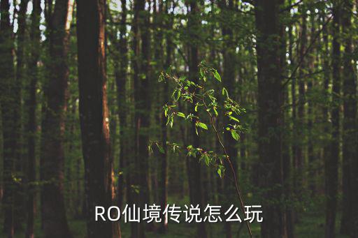 RO仙境传说怎么玩