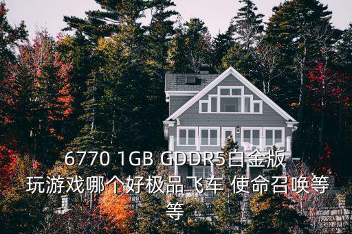 6770 1GB GDDR5白金版 玩游戏哪个好极品飞车 使命召唤等等