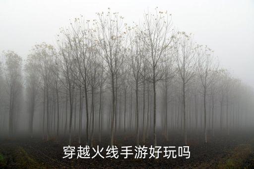 穿越火线手游模仿端游怎么样，怎么评价手游山寨端游