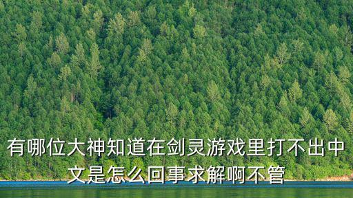 有哪位大神知道在剑灵游戏里打不出中文是怎么回事求解啊不管