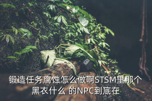 锻造任务腐蚀怎么做啊STSM里那个黑衣什么 的NPC到底在