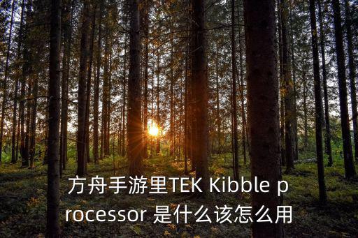 方舟手游里TEK Kibble processor 是什么该怎么用