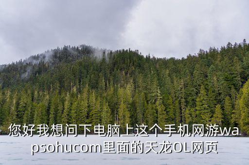 您好我想问下电脑上这个手机网游wapsohucom里面的天龙OL网页