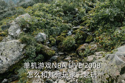 单机游戏NBA LIVE 2008怎么和其他玩家一起玩