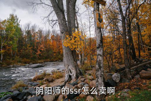 阴阳师手游怎么出售ssr式神，阴阳师怎么卖ssr碎片是在频道发消息还是去什么交易网站  问