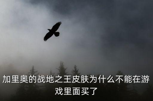 加里奥的战地之王皮肤为什么不能在游戏里面买了