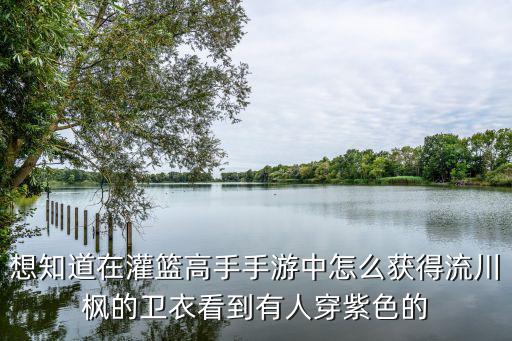 想知道在灌篮高手手游中怎么获得流川枫的卫衣看到有人穿紫色的