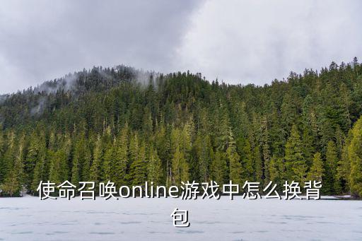 使命召唤online游戏中怎么换背包