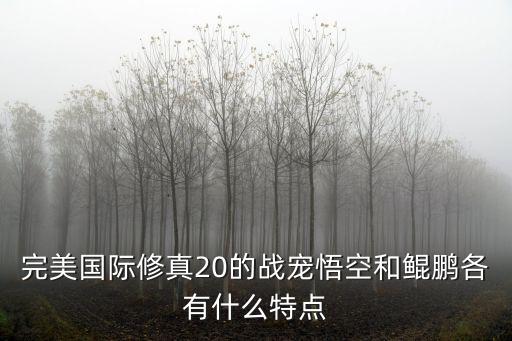 完美国际修真20的战宠悟空和鲲鹏各有什么特点