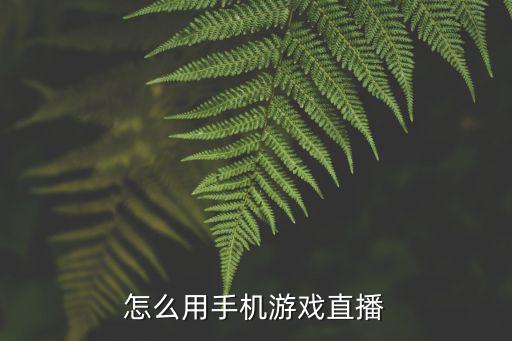 怎么用手机游戏直播