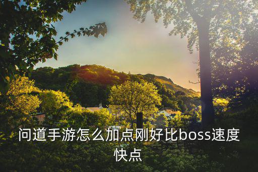 问道手游怎么加点刚好比boss速度快点