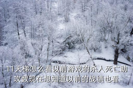 11天梯怎么看以前游戏的杀人死亡助攻数现在想知道以前的战绩也看